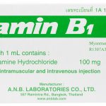 Vitamin B1 100mg